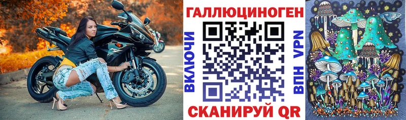 Псилоцибиновые грибы мицелий  купить закладку  Белорецк 
